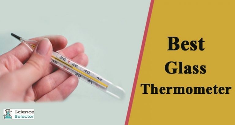 Best Thermometer Consumer Reports - 2024