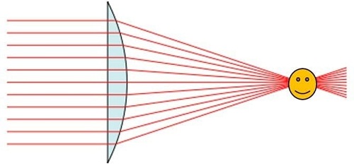 What does a condenser do on a microscope