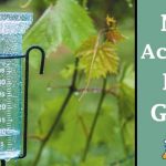 most accurate rain gauge