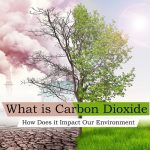 What is Carbon Dioxide